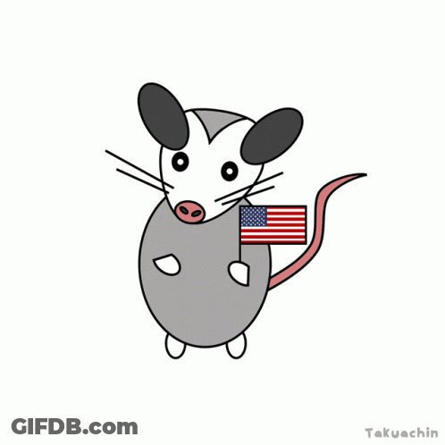 Opossum Holding American Flag By Takuachin GIF