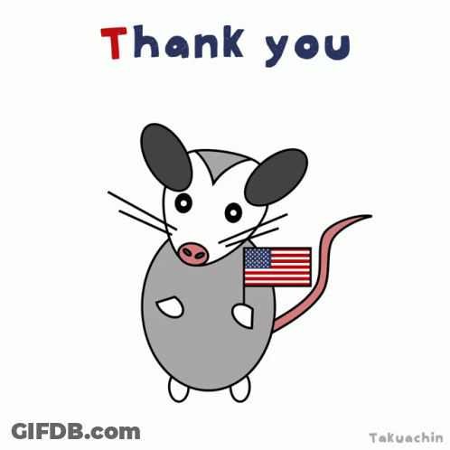 Opossum Holding American Flag Saying Thank You GIF