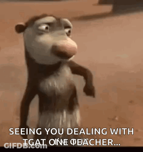 Opossum Seeing You Dealing With That One Teacher GIF