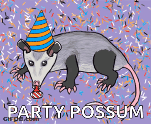 Opossum Wearing Party Hat Saying Party Possum GIF