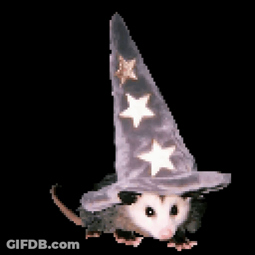 Opossum Wearing Wizard Hat GIF