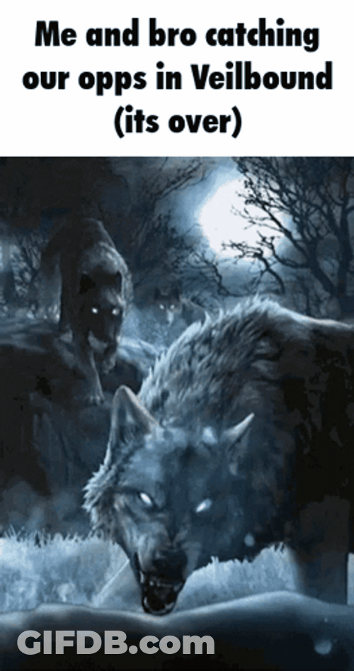 Opps Big Gray Wolf GIF