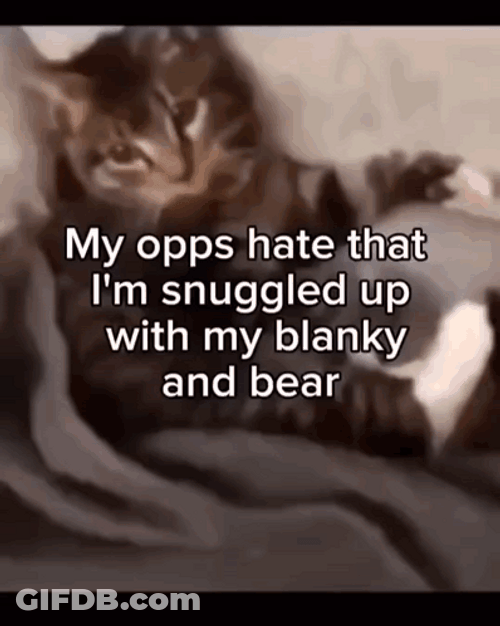 Opps Blanket And Bear GIF