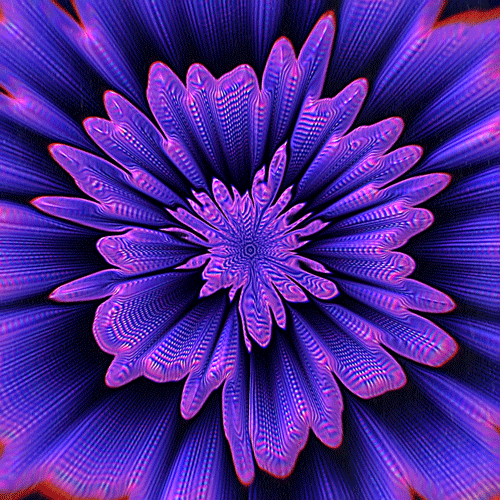 Optical Illusion Aesthetic PFP GIF