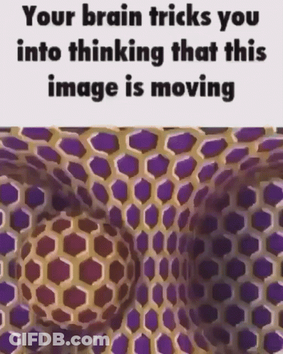 Optical Illusion Your Brain Tricks You Into Thinking Image Is Moving GIF