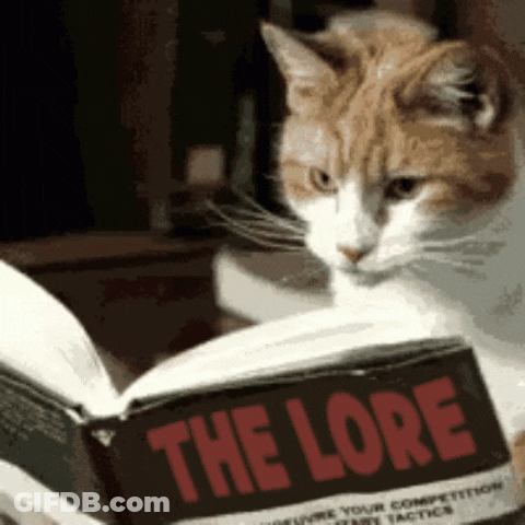 Orange And White Cat Reading Lore Book GIF