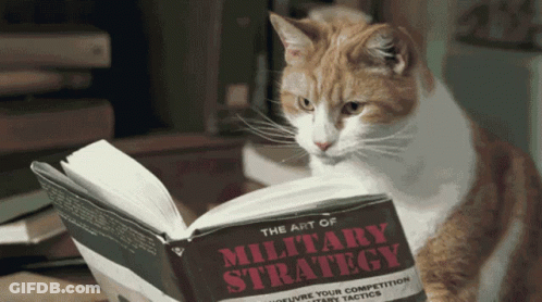 Orange And White Cat Reading The Art Of Military Strategy GIF