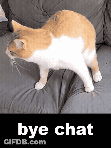 Orange And White Cat Standing On Couch With Bye Chat GIF