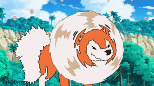 Orange And White Dog With Swirling Tail GIF