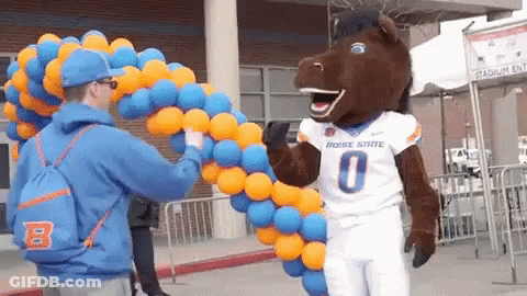 Orange And White Horse Head On Blue Background GIF