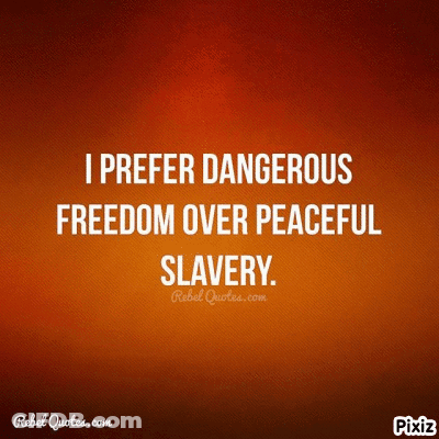 Orange Background With Quote GIF