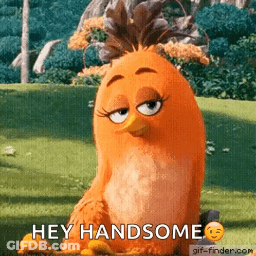Orange Bird From Angry Birds Saying Hey Handsome GIF