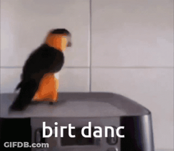 Orange Black Parrot Dancing GIF