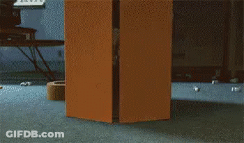 Orange Box Sitting On Carpet In Living Room GIF