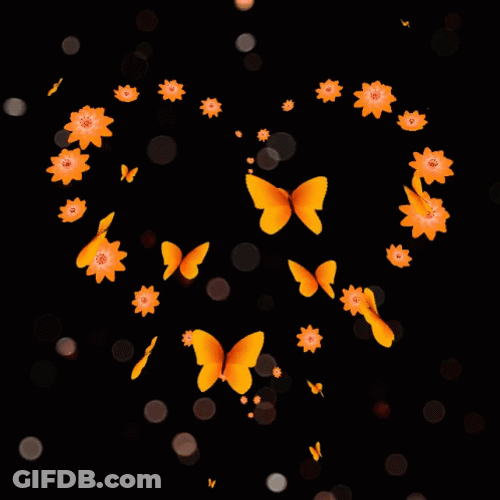 Orange Butterflies Forming Heart GIF