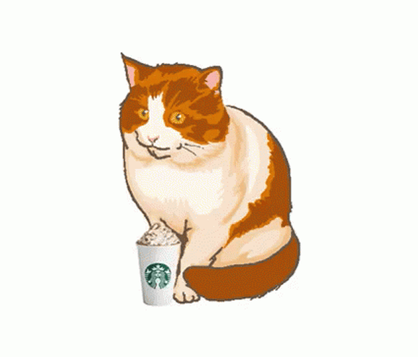 Orange Cat Eating Psl Continuously GIF
