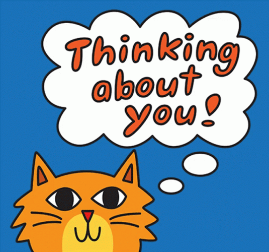 Orange Cat Thinking Of You GIF