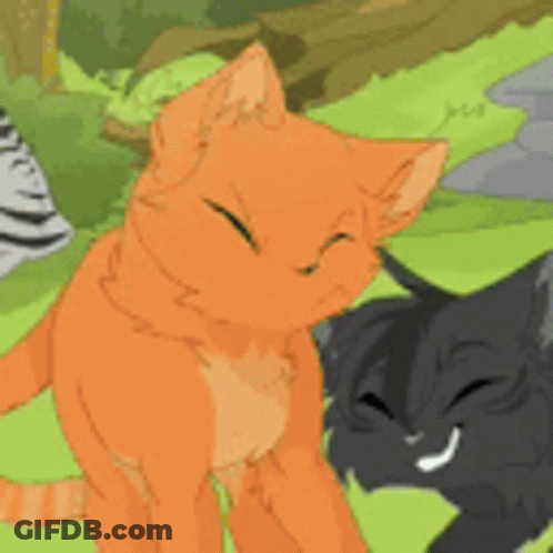 Orange Cat With Green Eyes Standing Next To Black Cat GIF