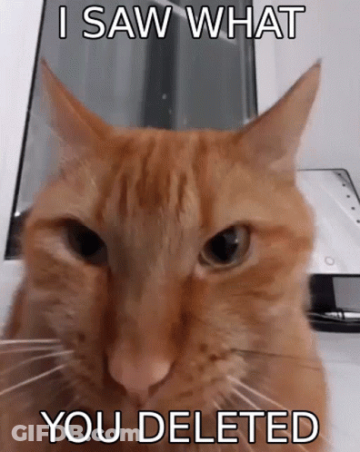 Orange Cat With I Saw What You Deleted GIF