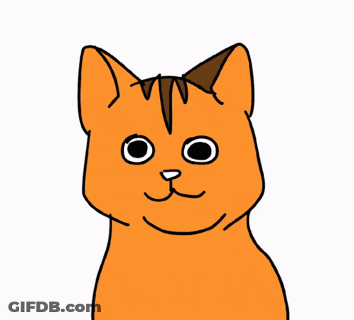 Orange Cat With White Nose GIF