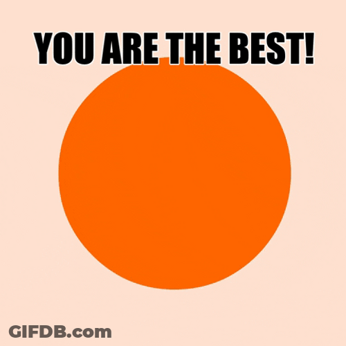 Orange Circle. You're Simply The Best GIF