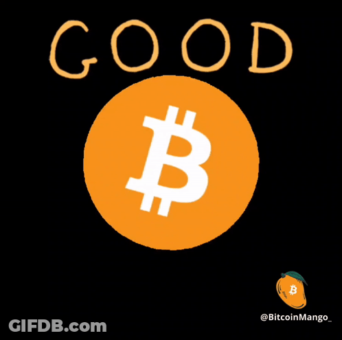 Orange Coin White B Saying Morning GIF