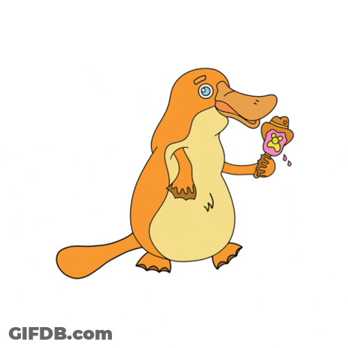 Orange Dizzy Platypus GIF