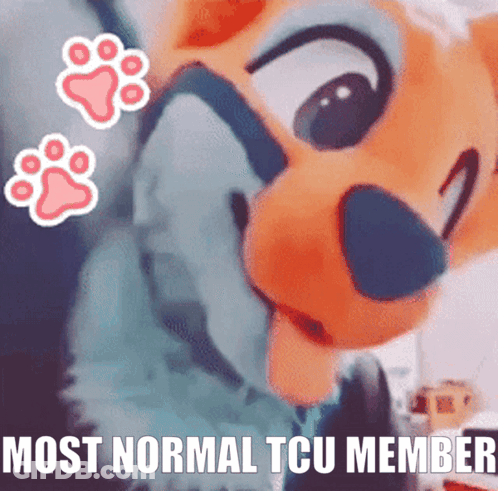 Orange Flag With Beaver Flying In Wind GIF