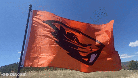 Orange Flag With Beaver Flying In Wind GIF