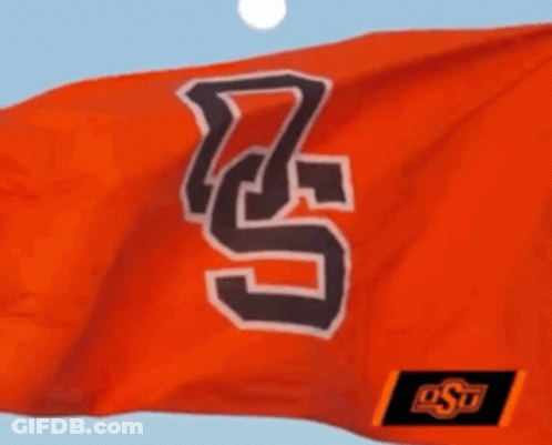 Orange Flag With Letter S Flying GIF