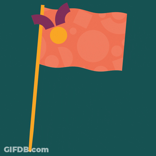 Orange Flag With Oranje Fonds GIF