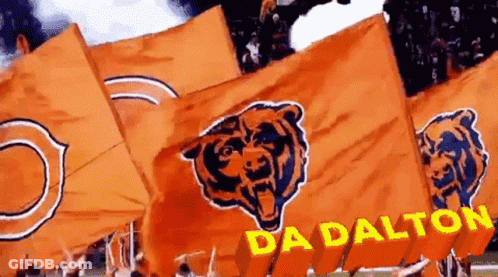Orange Flags With Bears Saying Dalton GIF