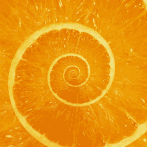 Orange Fruit Optical Illusion GIF
