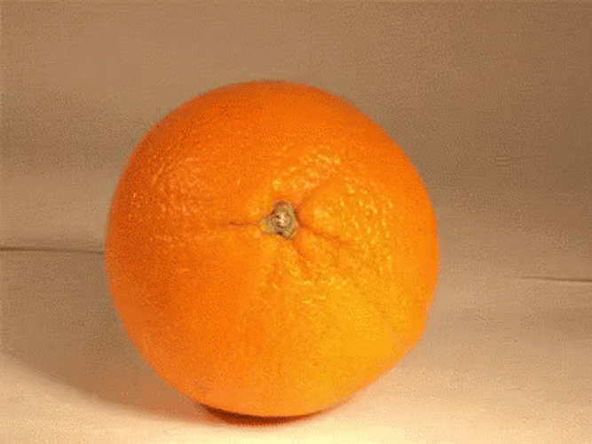 Orange Fruit Peel Montage GIF
