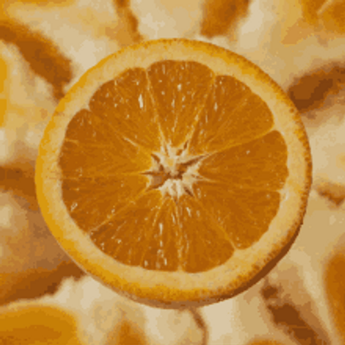 Orange Fruit Zoom In GIF