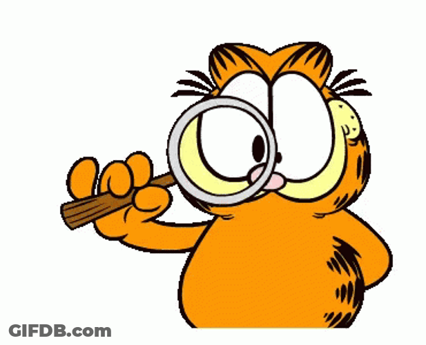 Orange Ginger Cat Garfield With Magnifying Glass GIF
