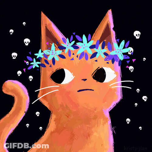 Orange Happy Cat Meme GIF