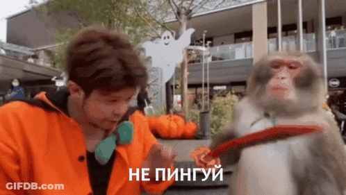 Orange-Jacketed Man Talking To Leashed Monkey, Ghost, Pumpkins GIF