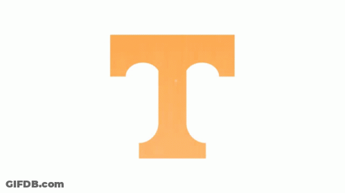 Orange Letter T On A White Background GIF