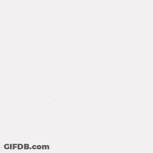 Orange Line Check Mark GIF