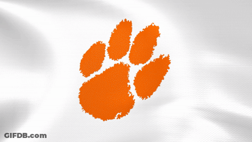 Orange Paw Print On Cloth GIF
