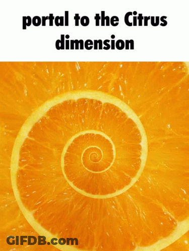 Orange Portal To The Citrus Dimension GIF