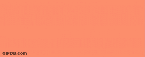 Orange Sign Saying Return To First Class GIF