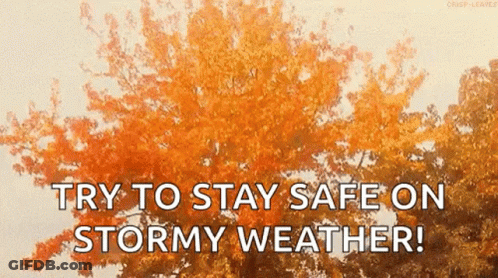 Orange Tree Saying Try To Stay Safe On Stormy Weather GIF