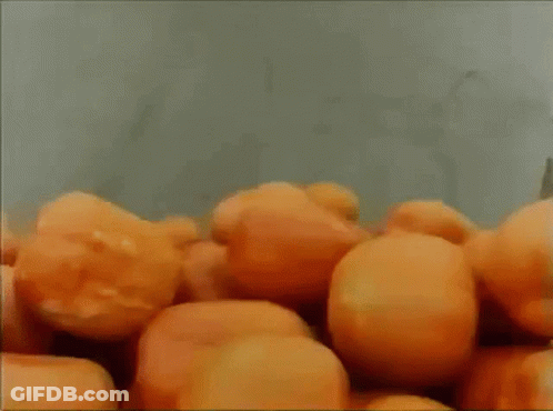 Oranges Being Peeled On Conveyor Belt GIF