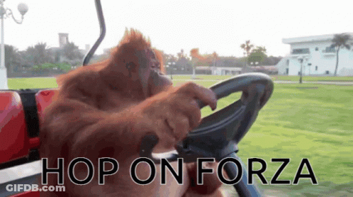 Orangutan Driving Golf Cart Saying Hop On Forza GIF
