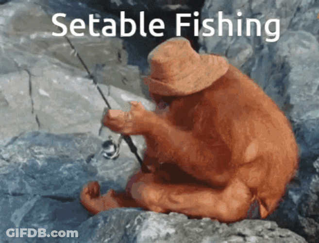 Orangutan Funny Fishing GIF