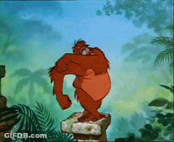Orangutan Standing On Rock GIF