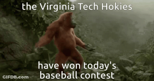 Orangutan With Caption Virginia Tech Hokies Won Today's Baseball Contest GIF