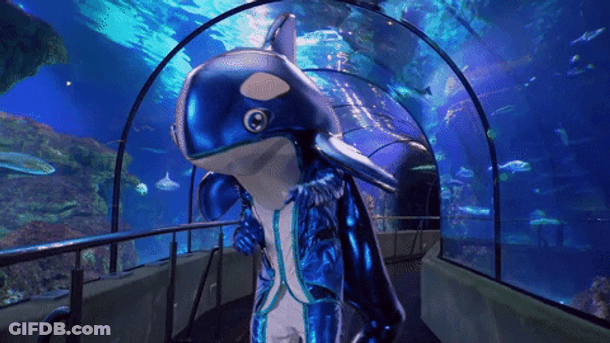 Orca Blue Mascot GIF